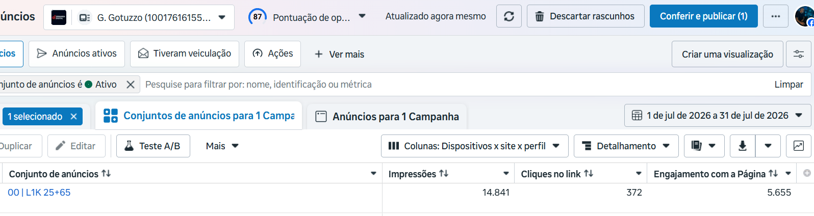 Captura completa dos resultados no Gerenciador de Anúncios